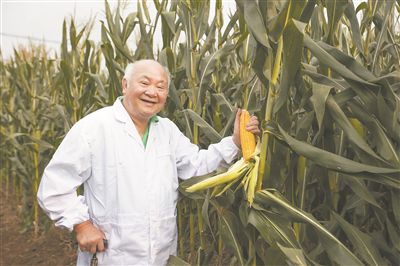 陳偉程在查看玉米生長情況。受訪者供圖