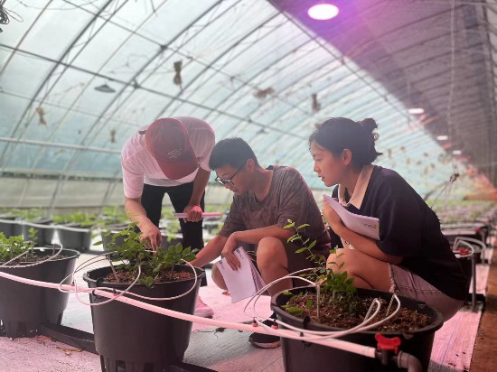 李連鵬帶領(lǐng)學(xué)生開展和美鄉(xiāng)村實(shí)驗(yàn)