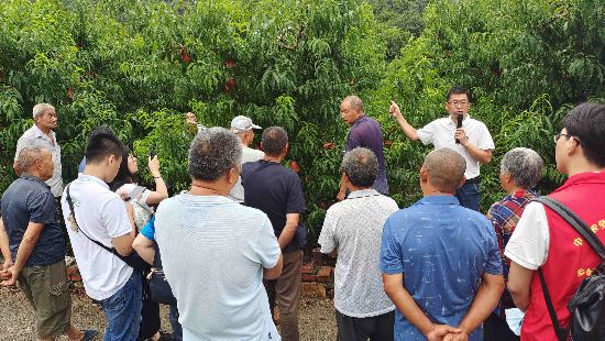 鄉(xiāng)村振興驛站團(tuán)隊(duì)教師在平谷對(duì)桃農(nóng)進(jìn)行病蟲(chóng)害防控培訓(xùn)