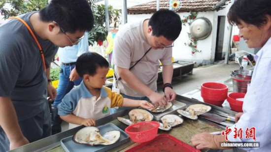 2025年6月，家長與孩子正在進(jìn)行開蚌取珠體驗(yàn)。曹丹 攝