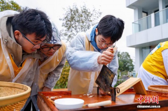 圖為選手在比賽中切白芍。中新社記者 肖健 攝